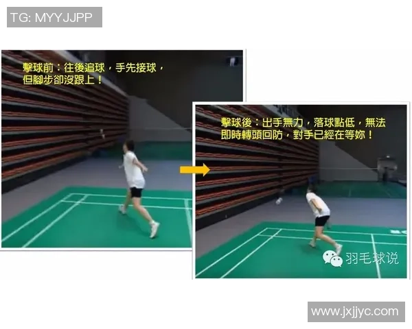 广州羽毛球队区域防守策略解析与战术应用探讨