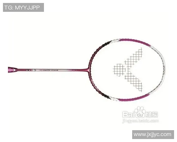 深入探讨上海羽毛球队战术表现的数据分析与战略优化研究